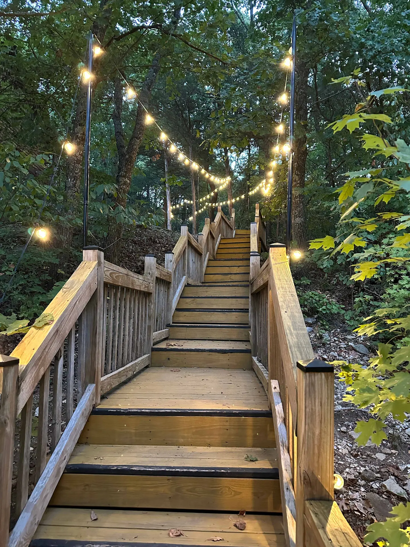 Inside The Oasis, a romantic Eureka Springs studio cabin with a wall of six-foot windows over the White River valley